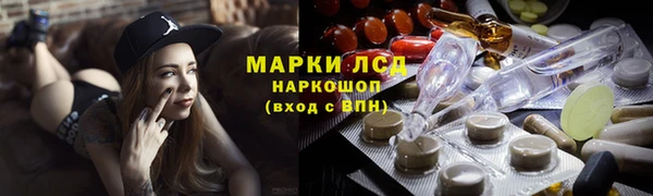 прущие грибы Бородино